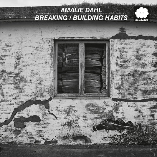 AMALIE DAHL - Building/Breaking Habits (LP)