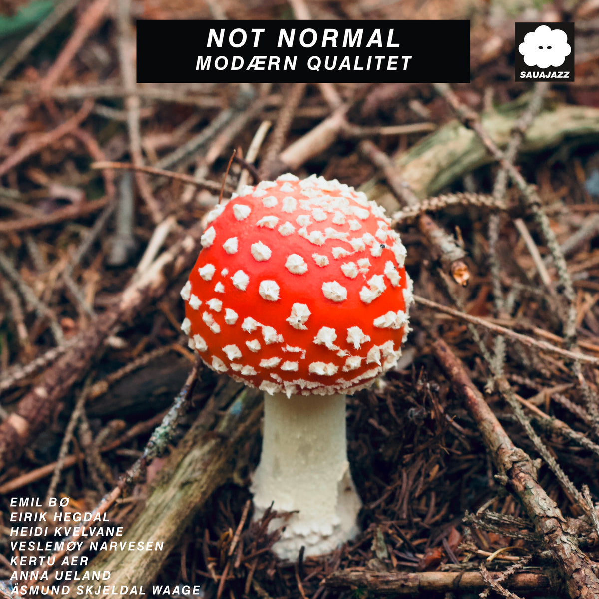 NOT NORMAL - Modærn Qualitet (CD)