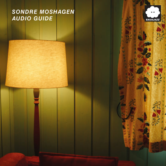 SONDRE MOSHAGEN - Audio Guide (LP) PRE-ORDER