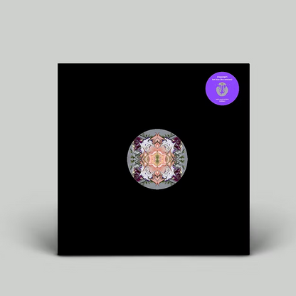 DRAGONGIRL - hot blue (the remixes) (LP)