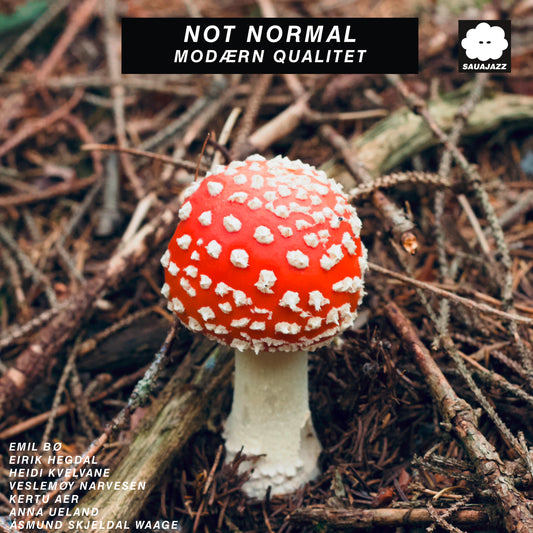 NOT NORMAL - Modærn Qualitet (LP)