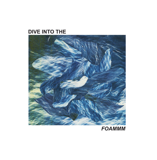 FOAMMM - Dive Into the FOAMMM (12" EP)